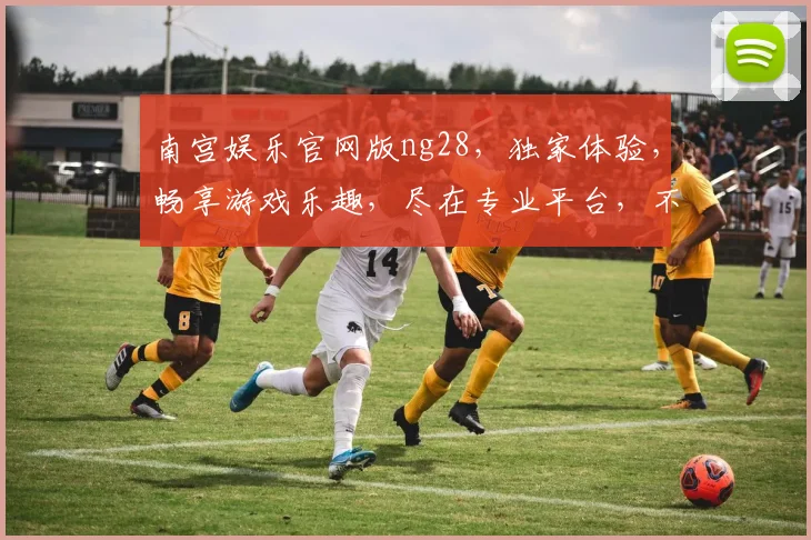 南宫娱乐官网版ng28，独家体验，畅享游戏乐趣，尽在专业平台，不容错过