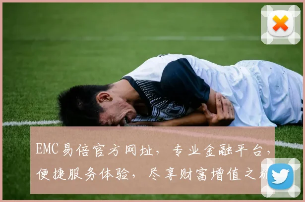 EMC易倍官方网址，专业金融平台，便捷服务体验，尽享财富增值之旅，立即访问
