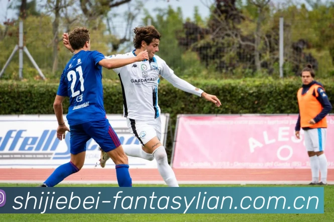 世界杯Fantasy联赛平台生态图