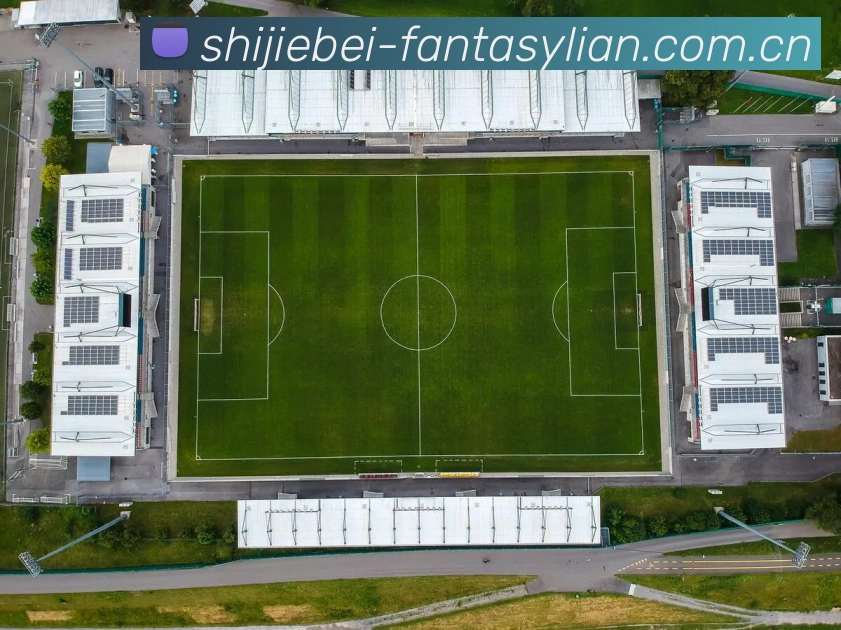 登录器